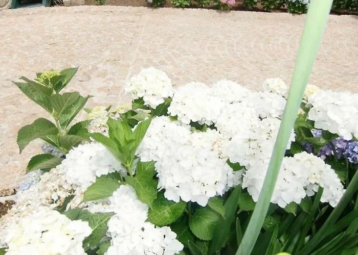 Casa Mouras- Villa *